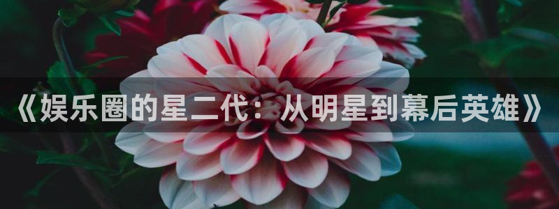 运达娱乐代理平台登录